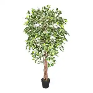 Kunstbaum Homescapes Ficus Benjamini grün weiß 180 cm