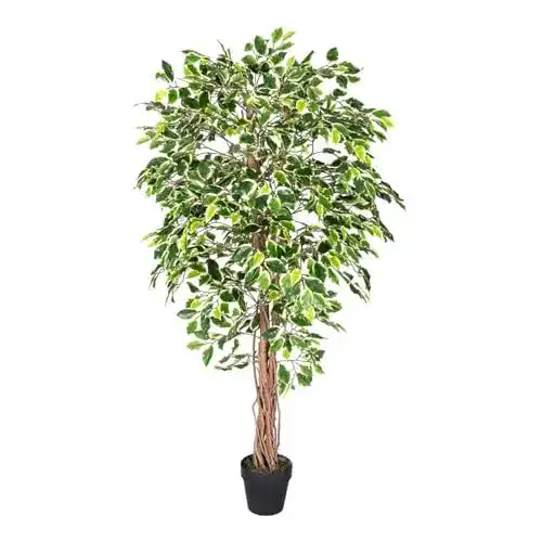 Kunstbaum Homescapes Ficus Benjamini grün weiß 180 cm