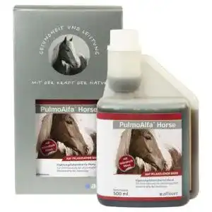 Hustensaft Pferd Alfavet PulmoAlfa Horse, Hustensaft