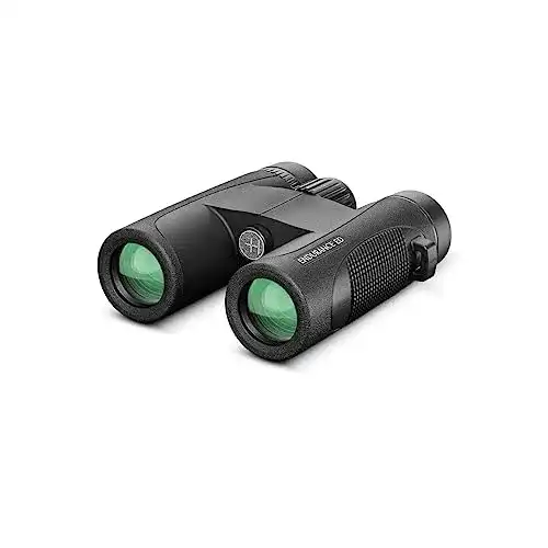 Fernglas 10×32 Hawke Fernglas Endurance ED 10×32, schwarz, M