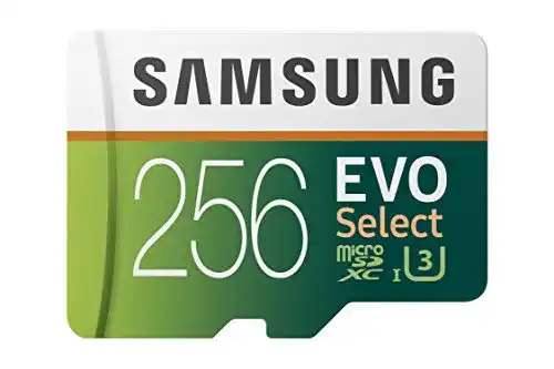 Micro-SD-256GB Samsung EVO Select 256 GB microSD 100MB/s