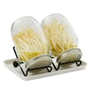 Sprossengläser SNADER 2X 950ML Sprossenglas Keimglas, 3er Set