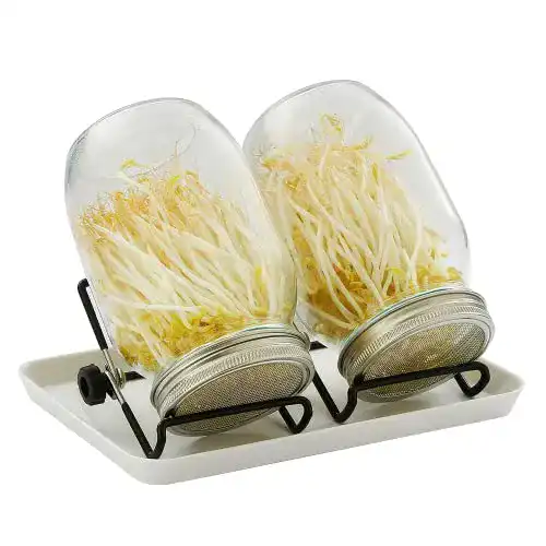 Sprossengläser SNADER 2X 950ML Sprossenglas Keimglas, 3er Set