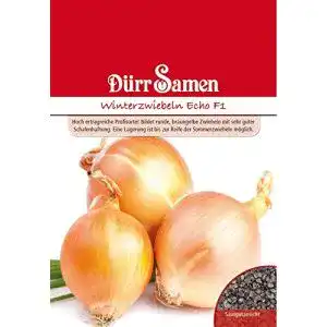 Zwiebelsamen Dürr-Samen, 1942 Winterzwiebel Echo F1