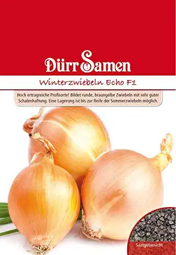 Die beste Zwiebelsamen Dürr-Samen, 1942 Winterzwiebel Echo F1 2026 Test Bestseller Zwiebelsamen Dürr-Samen, 1942 Winterzwiebel Echo F1