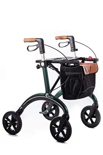 Rollator Carbon Saljol Leichtgewichts Rollator 54er Sitzhöhe