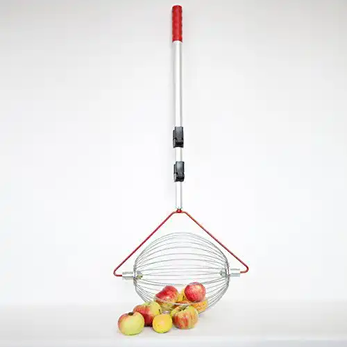 Rollsammler Feucht Obsttechnik Apfel-Sammler mit Teleskopstab-