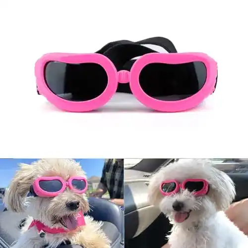 Hundebrille PETLESO Hunde Sonnenbrille, wasserdicht