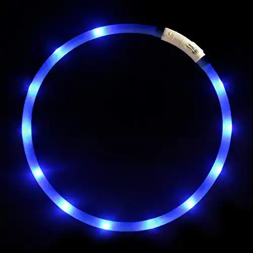 Leuchthalsband Hund GREENTREEN LED, Nacht-Sicherheit, USB