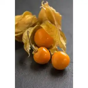 Physalis-Samen Seedeo Gemüse Raritäten Seedeo Peruanisch