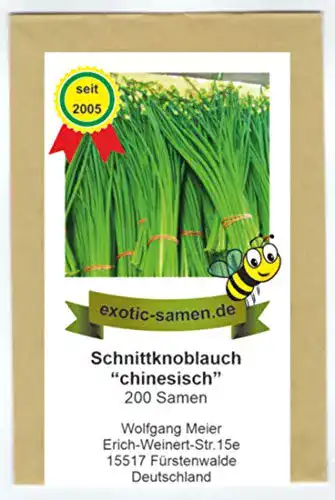 Knoblauch-Samen exotic-samen Schnittknoblauch, chinesisch
