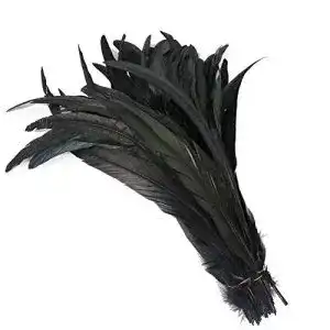 Fasanenfedern Yalulu 20 Stück 30-35 cm Größere Natur Feder Hahn