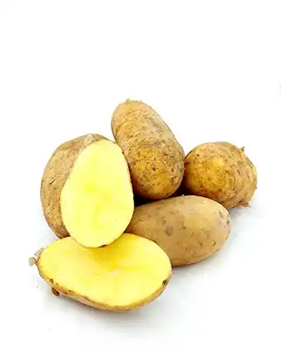 Kartoffeln Lamera Annalena festkochend aus Deutschland