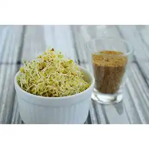 Alfalfasprossen Generisch 500 g Alfalfa Samen Bio Keimsaat