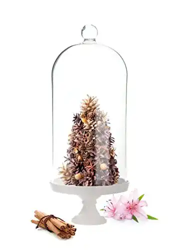 Glasglocke Sendez mit Porzellanteller Dekoglocke, 30cm