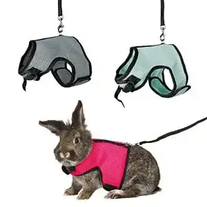 Kaninchengeschirr TRIXIE 61513 Softgeschirr mit Leine, 1,20 m