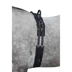 Voltigiergurt HKM 12701 Longiergurt Canvas, Fester Doppelgriff
