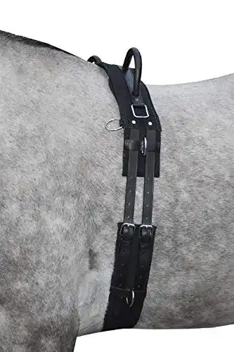 Voltigiergurt HKM 12701 Longiergurt Canvas, Fester Doppelgriff