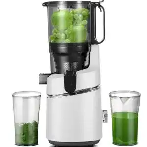 Slow-Juicer AMZCHEF Slow Juicer, ruhiger Motor, Umkehrfunktion