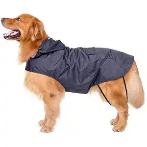 Hunde-Regenmantel Bwiv Hunde Regenmantel mit Kapuze