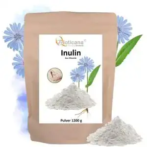 Inulin Bioticana Pulver – 1200 g (1,2 kg) – aus Chicoree Wurzel