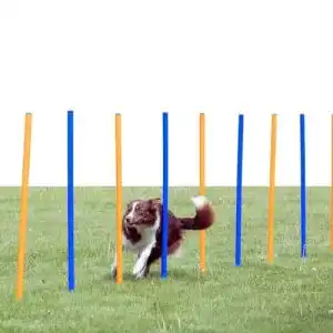 Slalomstange TRIXIE 3206 Dog Activity Agility Slalom, Kunststoff, ø 3 × 115 cm, 12 St.