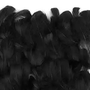 Schwarze Federn MWOOT 300pcs 7-12 cm, Gänsefedern