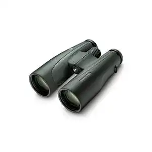 Fernglas (10×56) Swarovski SLC Fernglas, 10×56 W B