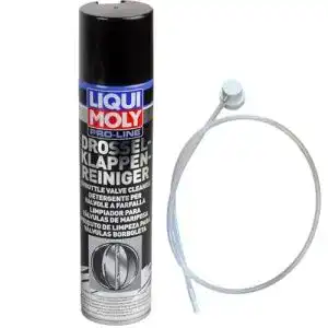 Drosselklappenreiniger LIQUI MOLY
