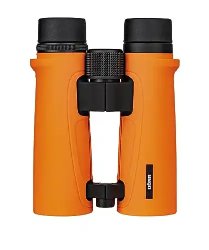 Dörr-Fernglas DÖRR FOTO Dörr Foto Fernglas Signal XP 10 x 42