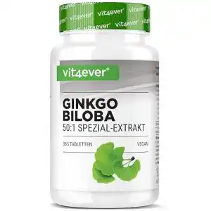 Ginkgo-Tabletten Vit4ever Ginkgo Biloba 6000 mg, 365 Tabletten