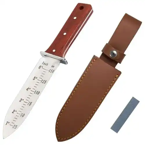 Grabungsmesser ProtectorTech Digger – rostfrei Rot-Holz-Griff