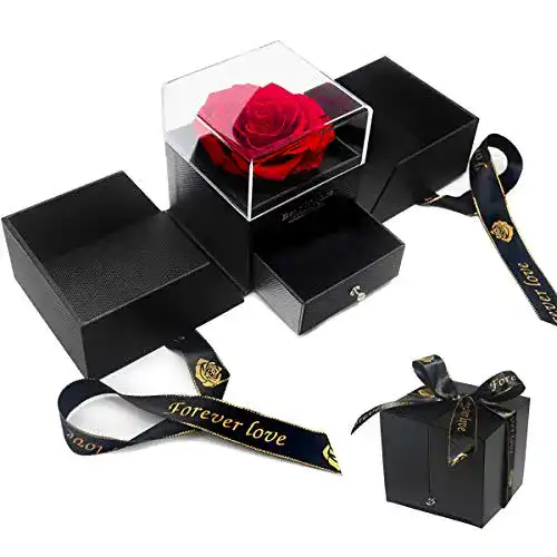 Rosenbox E-MANIS Schönheit und das Biest Rose Handgemacht