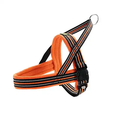 Norwegergeschirr Hunter Meldal 56 – 70 cm, orange