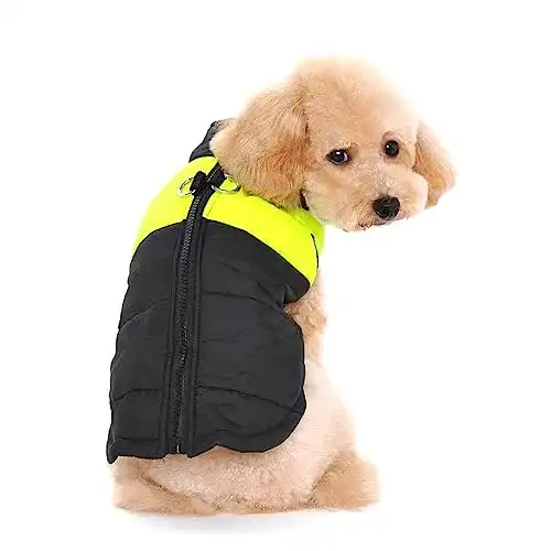 Wintermantel Hund Ectkuee Winter Warm Pet gesteppt gepolstert