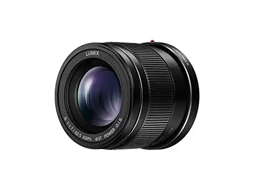 Panasonic-Objektiv Panasonic H-HS043E LUMIX G Objektiv