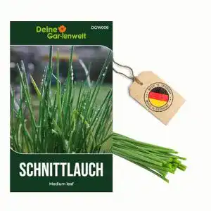 Schnittlauch-Samen Deine Gartenwelt Schnittlauch Polyvert Samen