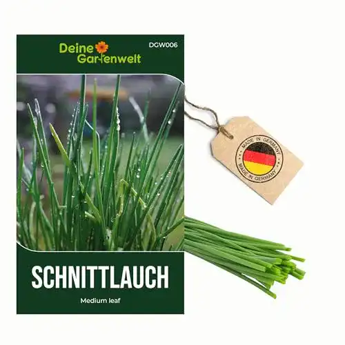 Schnittlauch-Samen Deine Gartenwelt Schnittlauch Polyvert Samen