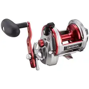 Daiwa-Multirolle Daiwa Sealine Ishidai 40H Entoh Rechtshand