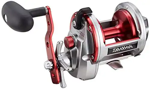 Daiwa-Multirolle Daiwa Sealine Ishidai 40H Entoh Rechtshand