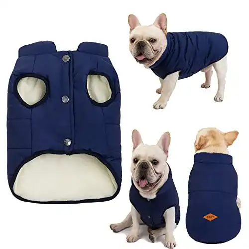 Wintermantel Hund Tineer Haustier Hunde Winterkleidung