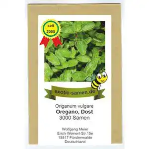 Oregano-Samen exotic-samen Oregano, 3000 Samen