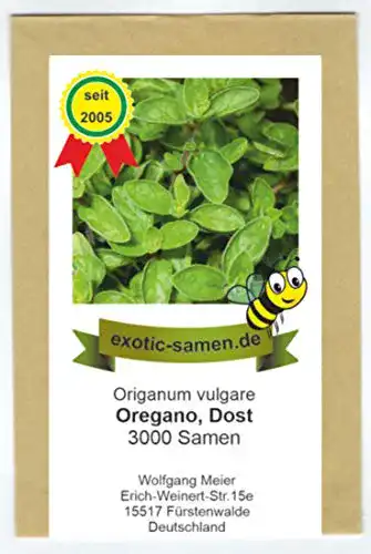 Oregano-Samen exotic-samen Oregano, 3000 Samen