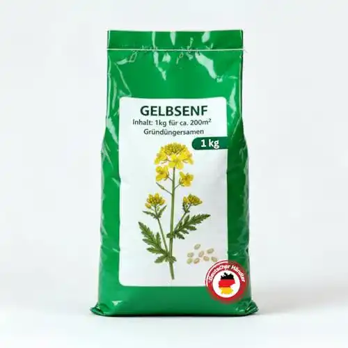 Gelbsenf Samenshop 24 Samenshop24® 1kg für ca. 200m²