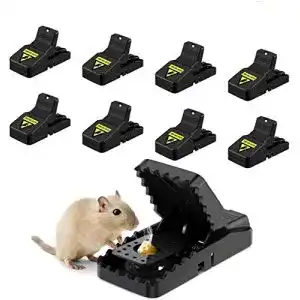 Mausefalle Schlagfalle Awroutdoor Profi Mausefalle 8er Set