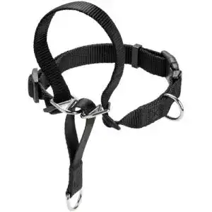 Erziehungshalsband Hunter Ausbildungsgeschirr Follow Me XL