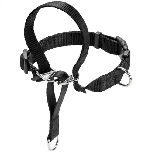 Erziehungshalsband Hunter Ausbildungsgeschirr Follow Me XL