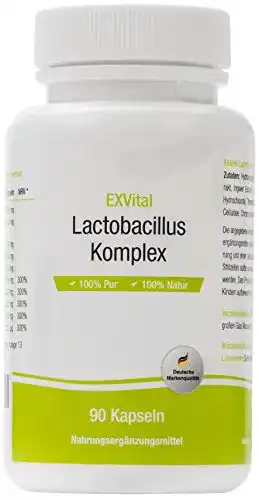 Probiotika Exvital Lactobacillus Komplex, 90 Kapseln