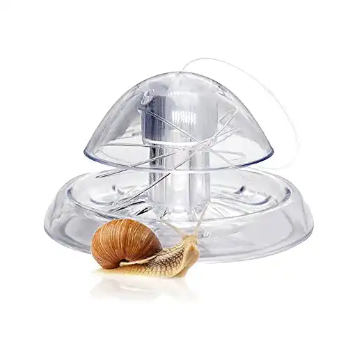 Schneckenfalle Aquarium WEAVERBIRD Aquarium Snail Trap