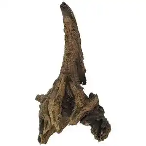 Aquarium-Wurzeln Amtra A8047548 Mystic Wood, 25 – 30 cm